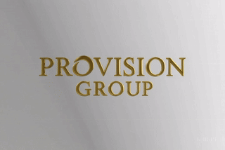 Pro Vision Group animated logo - Leading business consultancy in Dubai and Toronto